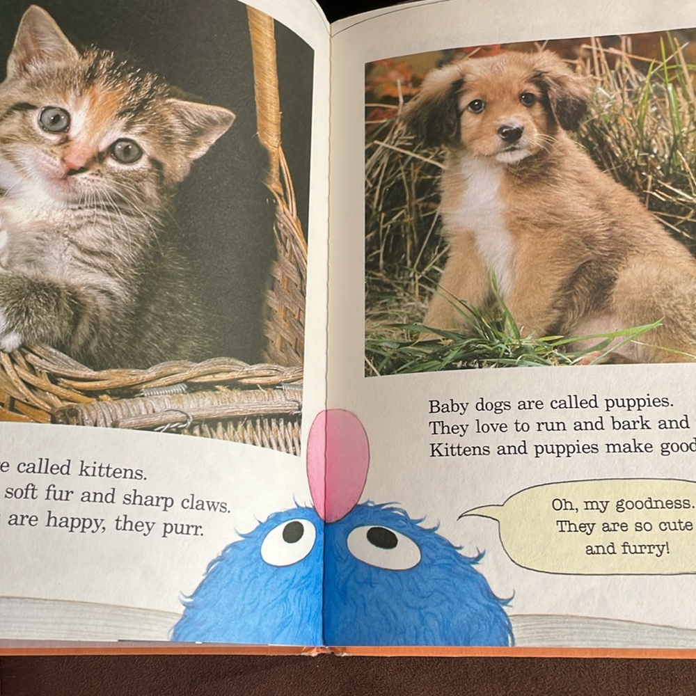 Sesame Street Grover's Book of Cute Little Baby Animals Hardcover 1980 - Picture 6 of 10